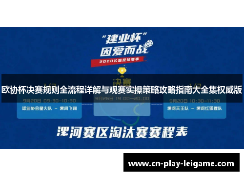 欧协杯决赛规则全流程详解与观赛实操策略攻略指南大全集权威版 欧协杯决赛规则全流程详解与观赛实操策略攻略指南大全集权威版