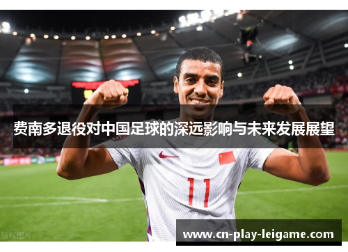 费南多退役对中国足球的深远影响与未来发展展望