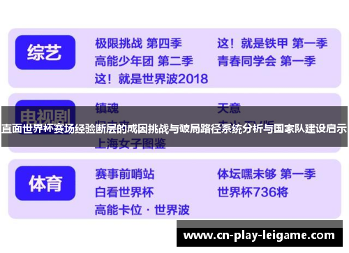 直面世界杯赛场经验断层的成因挑战与破局路径系统分析与国家队建设启示